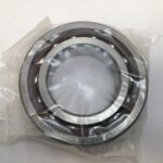 Angular Contact Ball Bearing – Straight Bore, 55 mm ID, 100 mm OD, 21 mm Width, Open, 15° Contact Angle, Medium Preload.