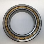 Cylindrical Roller Bearing – Straight Bore, 100 mm ID, 150 mm OD, 24 mm Width, 1 Row, CN Internal Clearance.