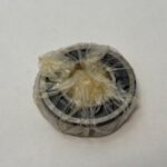 FAG NU206E.TVP2.C3 Cylindrical Bearing NU206ETVP2C3 NU206 30x62x16 mm