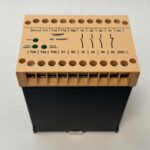 Riese RS-NAGM-P Safety Relay RSNAGM-P AR.9605.9001 24 V DC