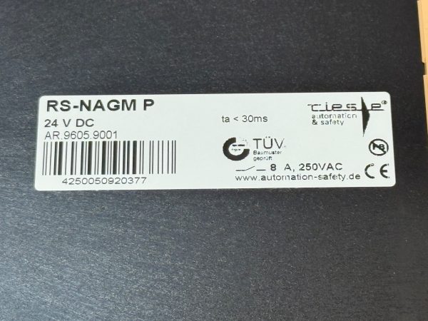 Riese RS-NAGM-P Safety Relay RSNAGM-P AR.9605.9001 24 V DC