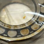 Spherical Roller Bearing – Straight Bore, 55 mm ID, 100 mm OD, 25 mm Width, Open, CN Internal clearance