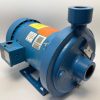 Goulds 1MC1D5C4.01 Centrifugal Pump MCC