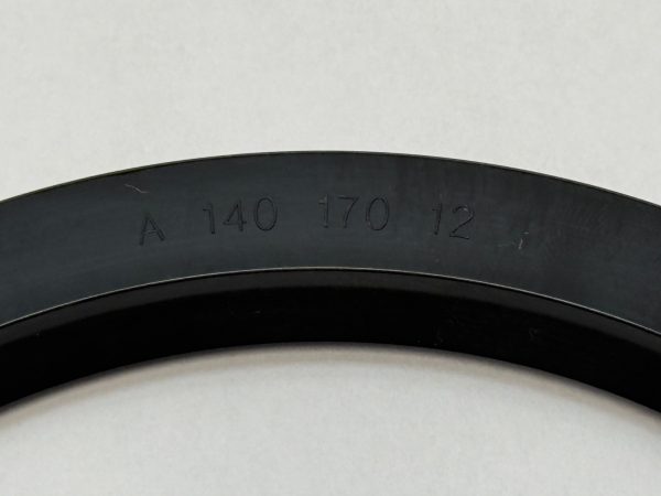 DDS AM14017012 Oil Seal 140x170x12mm A-140-170-12