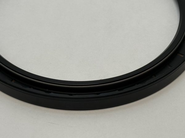 DDS AM14017012 Oil Seal 140x170x12mm A-140-170-12