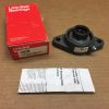 Two-Bolt Flange Mount Bearing Unit, 1 in Bore, Eccentric Collar Locking, Wide Inner Race, Cast Iron